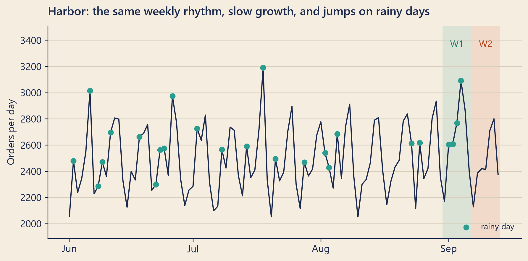 A line chart of Harbor's daily orders from 1 June to 13 September. The line goes up and down in the same pattern every week, lowest on Mondays and highest on Fridays and Saturdays, and it drifts slowly upward. Teal dots mark rainy days; most of them sit above the line's usual level for that weekday. The week before the drop has four rainy days in a row, Tuesday to Friday. The week of the drop has none.